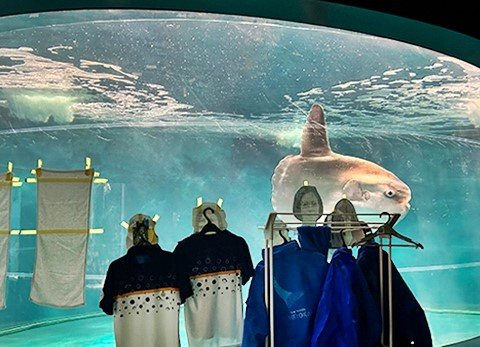 休憩所 도로 휴게소 우시부카 해채관 (미치노에키 우시부카 카이사이칸) 이미지 6